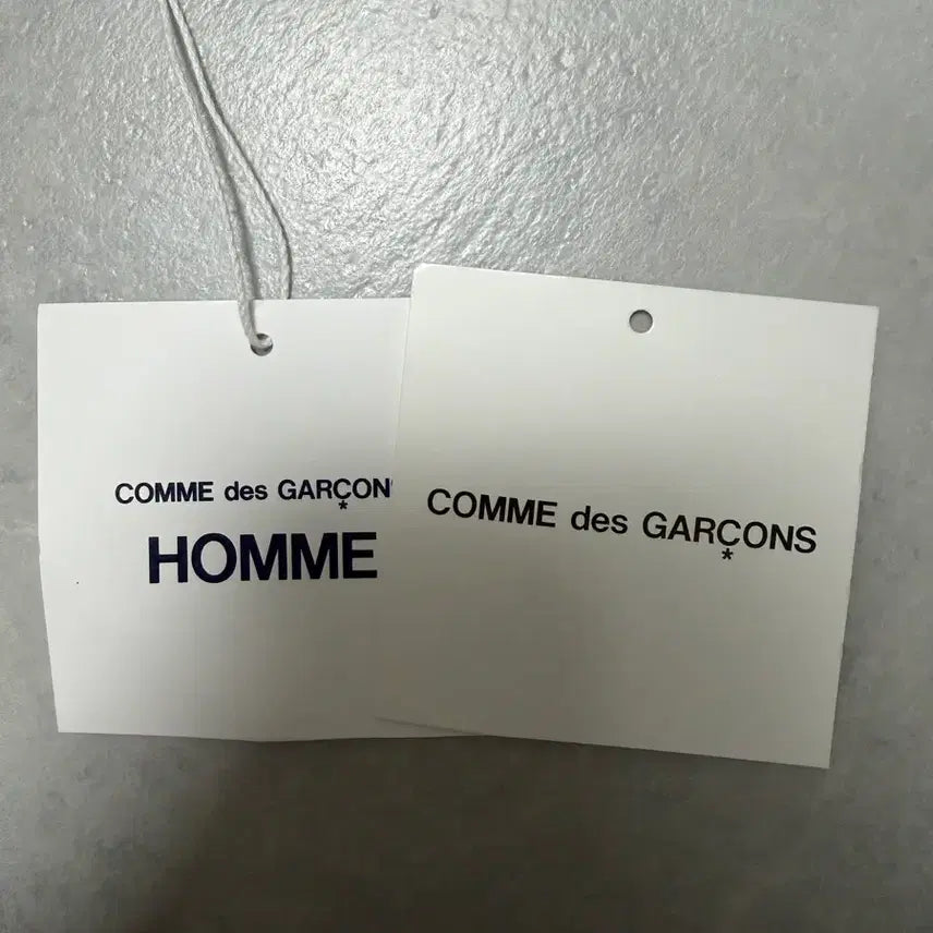 [BUNJANG] Comme des Garcons Homme Striped Turtleneck / comme des garcos homme 터틀넥 팝니다