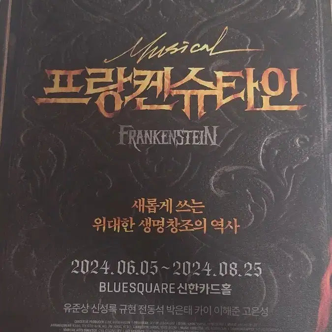 [BUNJANG] 24 Musical Frankenstein Leaflet / 24 뮤지컬 프랑켄슈타인 리플렛