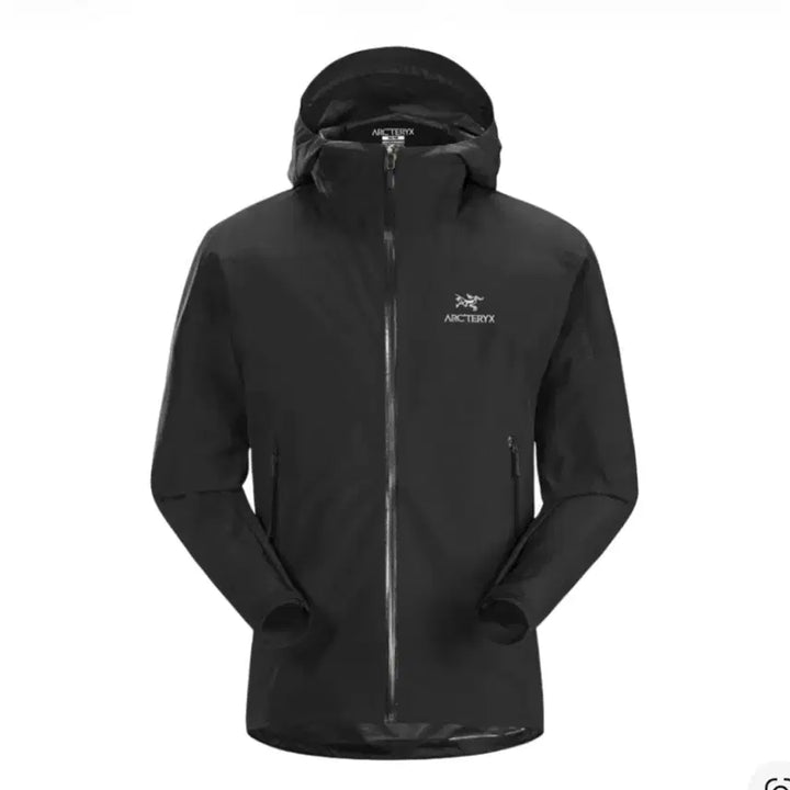 [SOLD OUT] [구매글] 아크테릭스 제타 sl