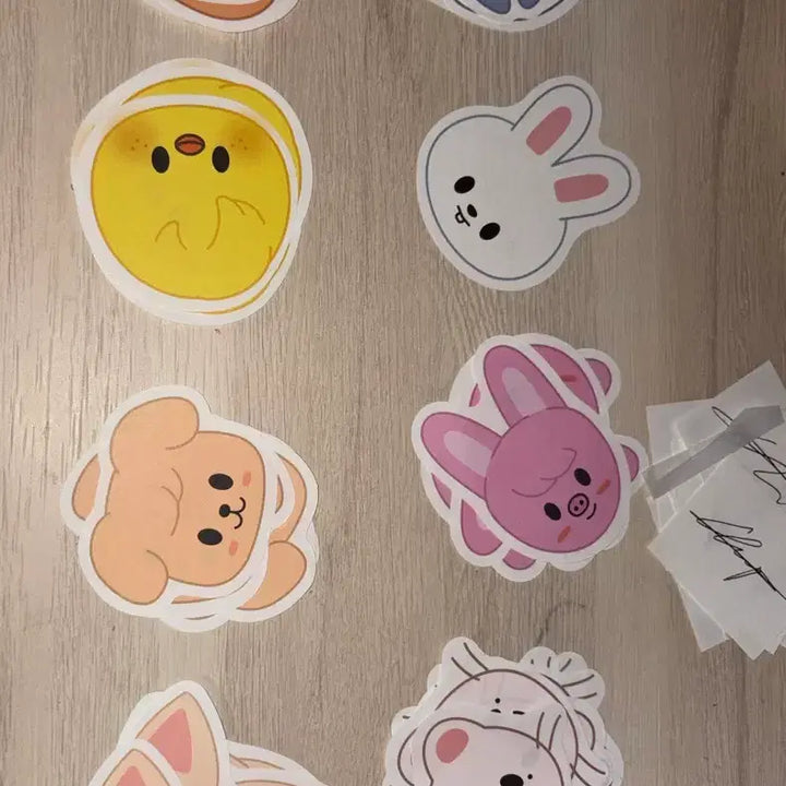 [BUNJANG] Stray Kids First Meet &amp; Greet Entry Gift Bundle Set / 급처))스트레이키즈 팬미팅 첫막 입장 기프트 일괄 퍼핌세트