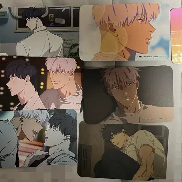 [BUNJANG] Min-yong Mofun Photocard Set / 민용 모펀 방문포카 포카 9종 전종 양도