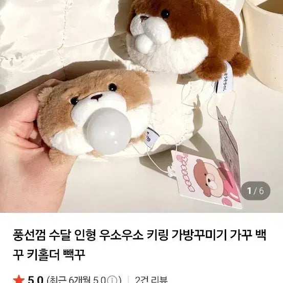 [BUNJANG] Woosoo Woosoo Chan Otter Plush Keyring Bag Charm / 우소우소짱 수달 인형 키링 가방 참 장식 빽꾸