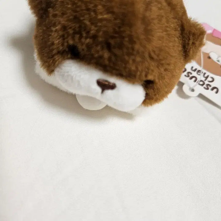 [BUNJANG] Woosoo Woosoo Chan Otter Plush Keyring Bag Charm / 우소우소짱 수달 인형 키링 가방 참 장식 빽꾸