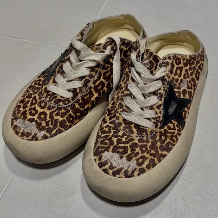 [BUNJANG] Golden Goose Black Star Leopard Sneakers / 골든구스 블랙스타 레오파드 스니커즈