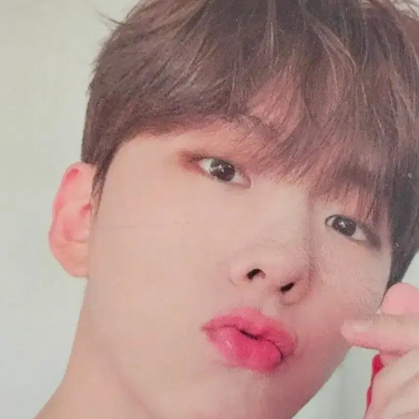 [SOLD OUT] 급처] 몬스타엑스 2024 시즌그리팅 일괄 특전포카 포함
