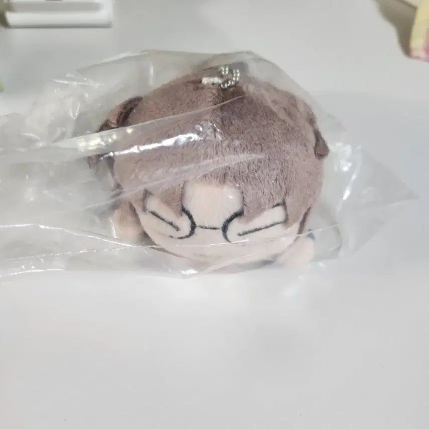 [BUNJANG] Detective Conan Okita Subaru Plush Doll / 명탐정코난 누이 인형 오키야 스바루 최수현