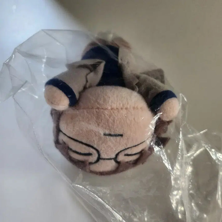 [BUNJANG] Detective Conan Okita Subaru Plush Doll / 명탐정코난 누이 인형 오키야 스바루 최수현