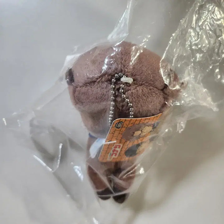[BUNJANG] Detective Conan Okita Subaru Plush Doll / 명탐정코난 누이 인형 오키야 스바루 최수현