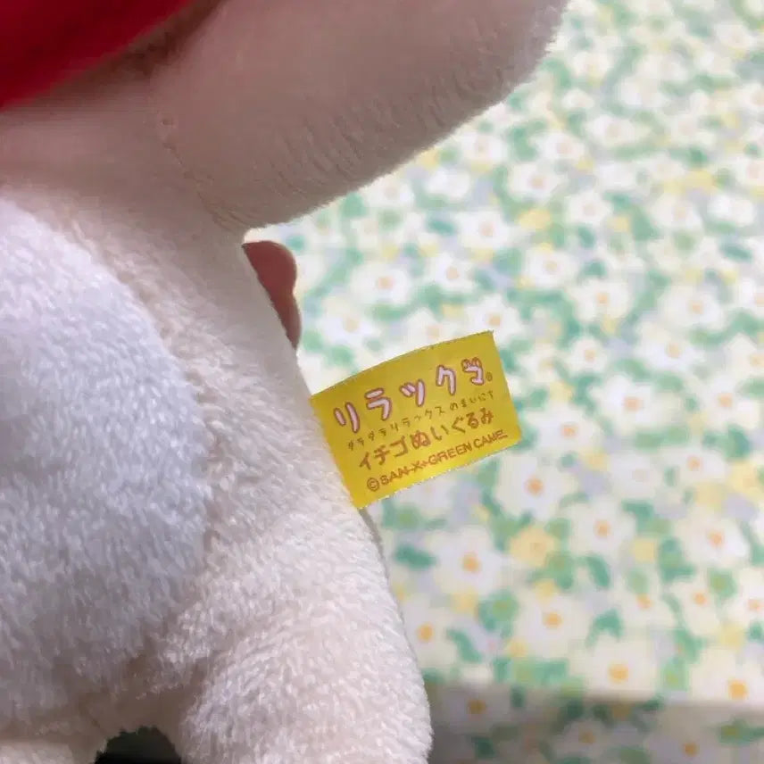 [BUNJANG] Strawberry Korilakkuma Red Cape Plush / 빨간 망토 딸기코리락쿠마
