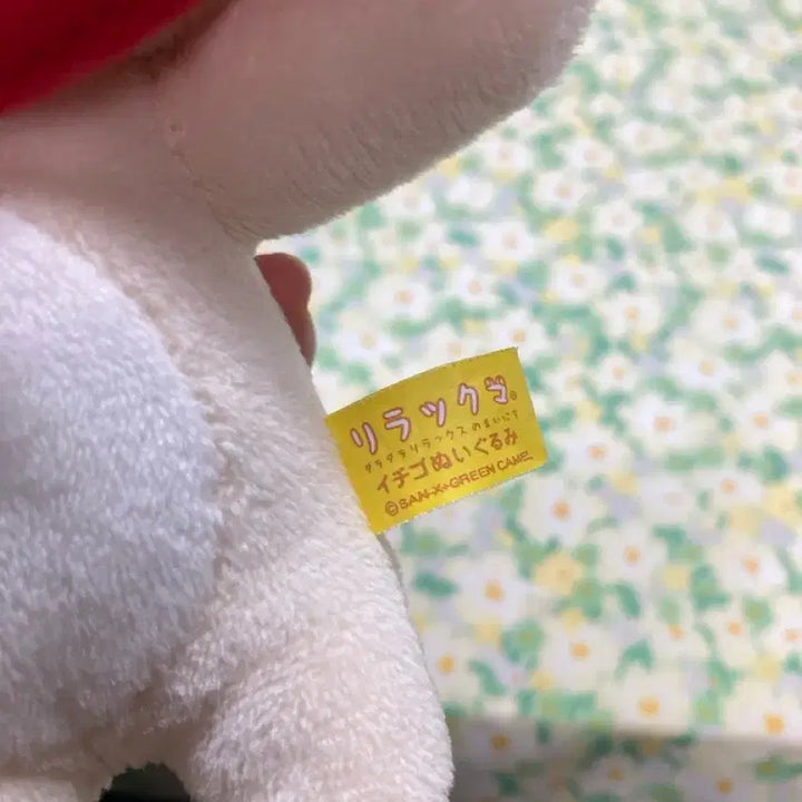 [BUNJANG] Strawberry Korilakkuma Red Cape Plush / 빨간 망토 딸기코리락쿠마