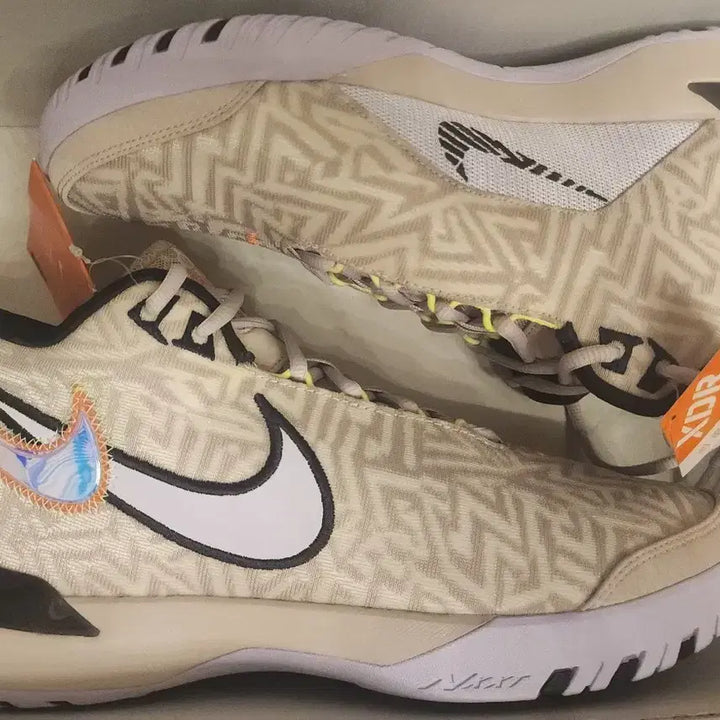 [BUNJANG] Nike LeBron NXXT Gen EP Basketball Shoes / 나이키 르브론 넥스트 제니시스 EP 260mm299mm 농구화 조던 조단