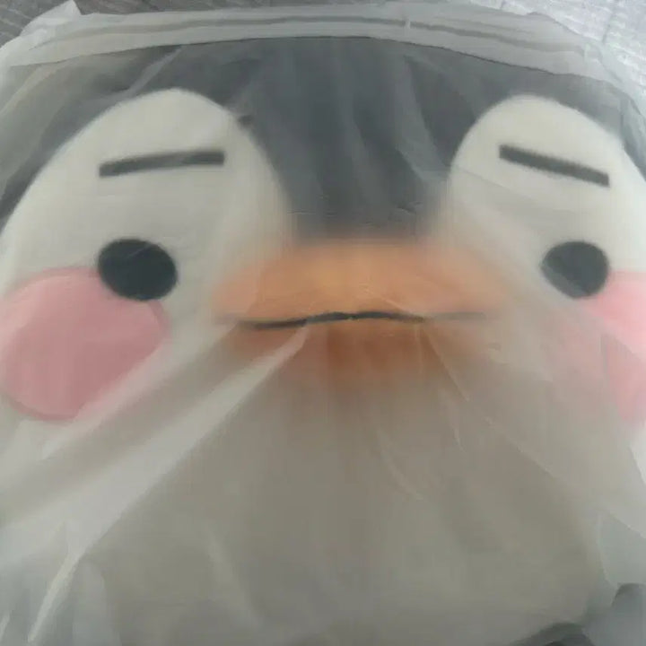 [BUNJANG] Lee Junho Baby Penguin Cushion / (미개봉) 이준호 베이비펭 쿠션 양도합니다