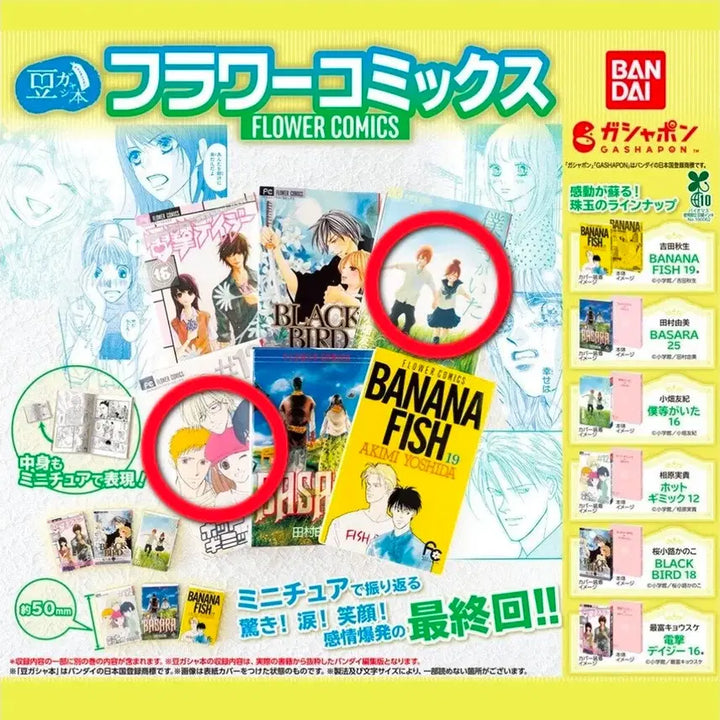 [BUNJANG] Flower Comics KONG SHI SHI  "Our Story" + "Hot Gimmick" Bundle Set (Sealed) / 미개봉 일괄)플라워코믹스 콩가샤 우리들이 있었다, 핫기믹