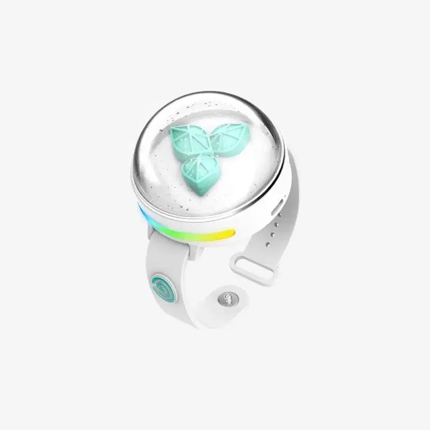 [SOLD OUT] 데이식스 응원봉 마데워치 3