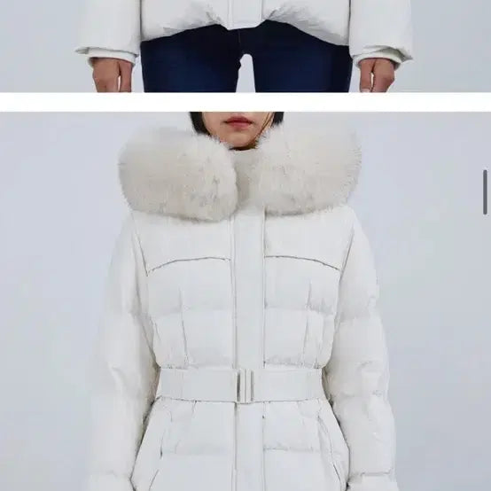 [BUNJANG] Egoist Short Padded Jacket / 에고이스트 숏패딩