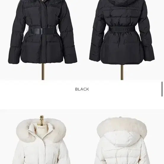 [BUNJANG] Egoist Short Padded Jacket / 에고이스트 숏패딩