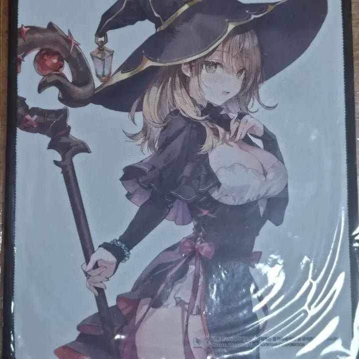 [BUNJANG] Rushdere Aryang 8 Comic Zone Mousepad / 러시데레 아랴양 8  코믹존 특전 마우스패드