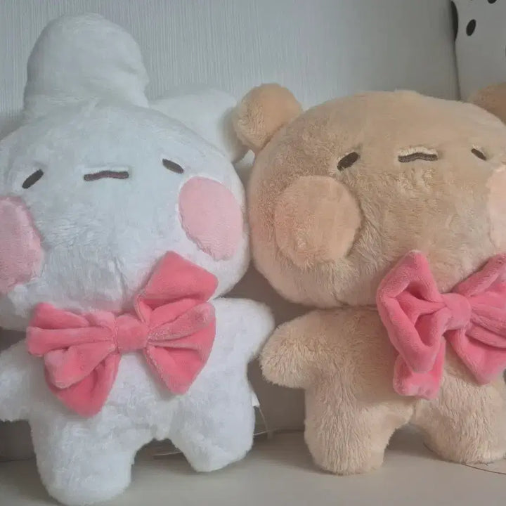 [BUNJANG] Toshimi Tomungi 25cm Plush Doll / 토심이 토뭉이 25cm 인형 택o 상품