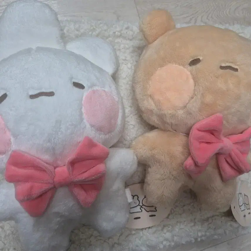 [BUNJANG] Toshimi Tomungi 25cm Plush Doll / 토심이 토뭉이 25cm 인형 택o 상품