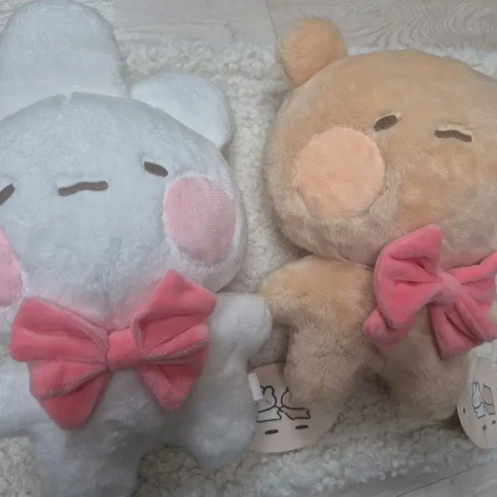 [BUNJANG] Toshimi Tomungi 25cm Plush Doll / 토심이 토뭉이 25cm 인형 택o 상품