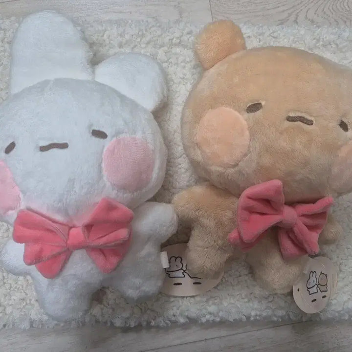 [BUNJANG] Toshimi Tomungi 25cm Plush Doll / 토심이 토뭉이 25cm 인형 택o 상품