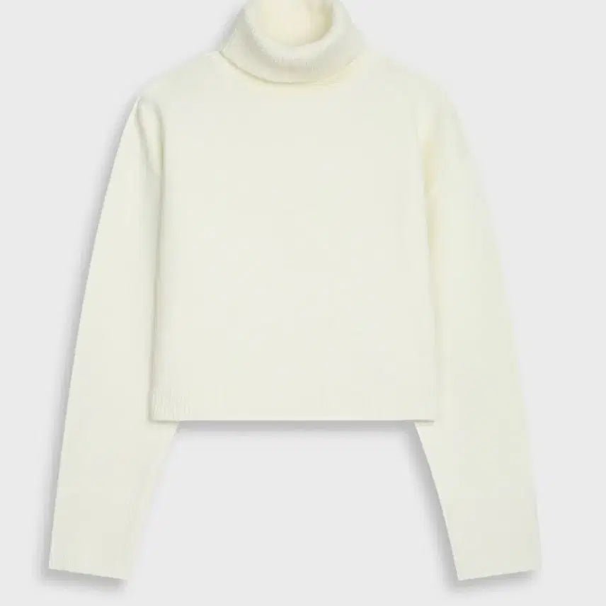 [BUNJANG] Semi-Crop Turtleneck Knit Top / 세미크롭 목폴라 니트