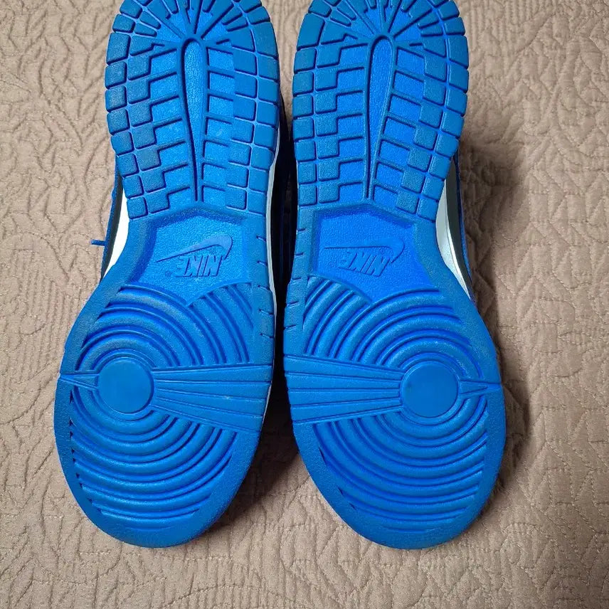 [BUNJANG] Nike Dunk Low Retro Hyper Cobalt Sneakers / 270 나이키 덩크 로우 레트로 운동화 [5053]