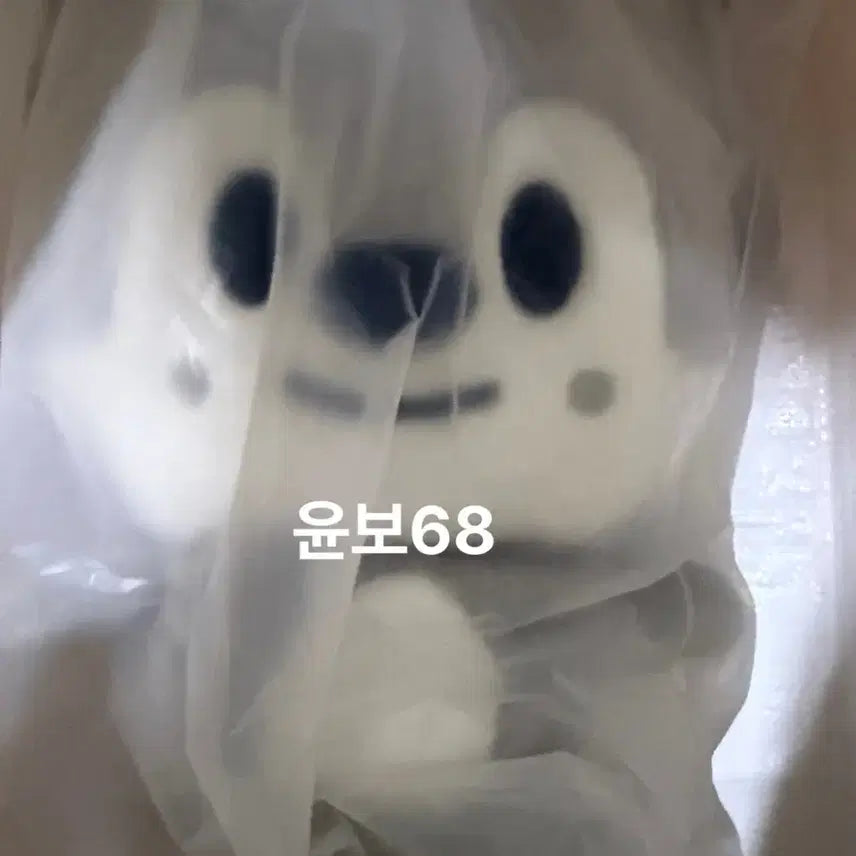 [BUNJANG] Stray Kids Bang Chan Backpack / 스트레이키즈 백팩 울프찬 방찬