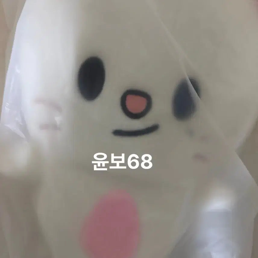 [BUNJANG] Stray Kids Hyunjin Genie Let Backpack / 스트레이키즈 백팩 지니렛 현진