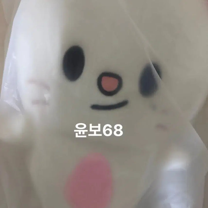 [BUNJANG] Stray Kids Hyunjin Genie Let Backpack / 스트레이키즈 백팩 지니렛 현진