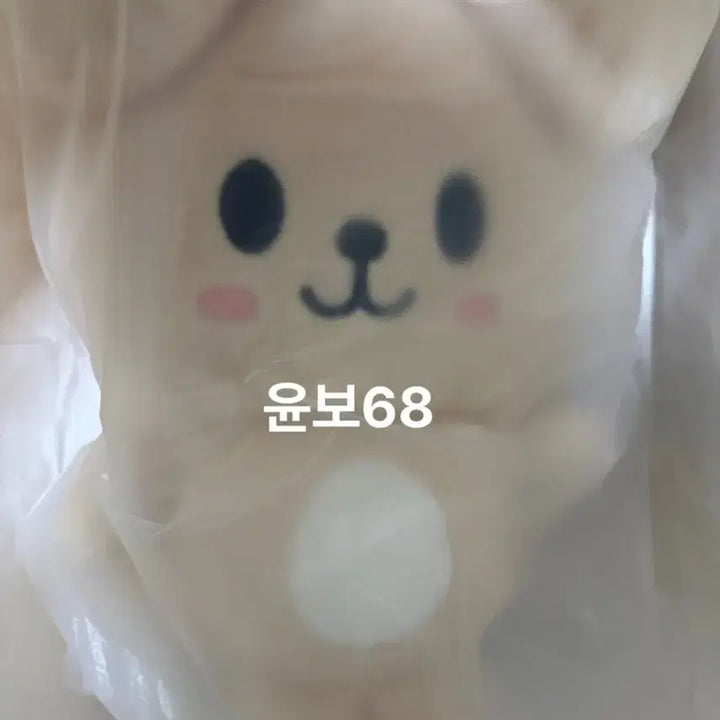 [BUNJANG] Stray Kids Seungmin Backpack / 스트레이키즈 백팩 퍼핌 승민