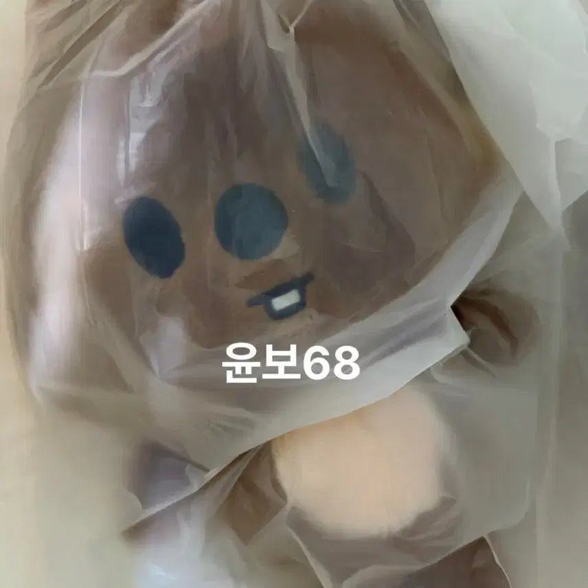 [SOLD OUT] 스트레이키즈 백팩 한쿼카