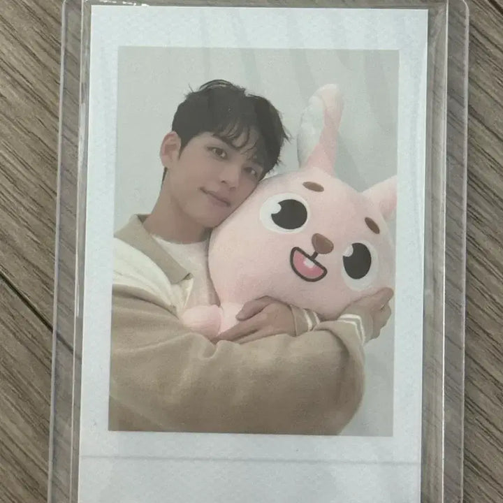 [BUNJANG] Day6 Giant Peel Polaroid / 데이식스 자이언트 필 폴라로이드