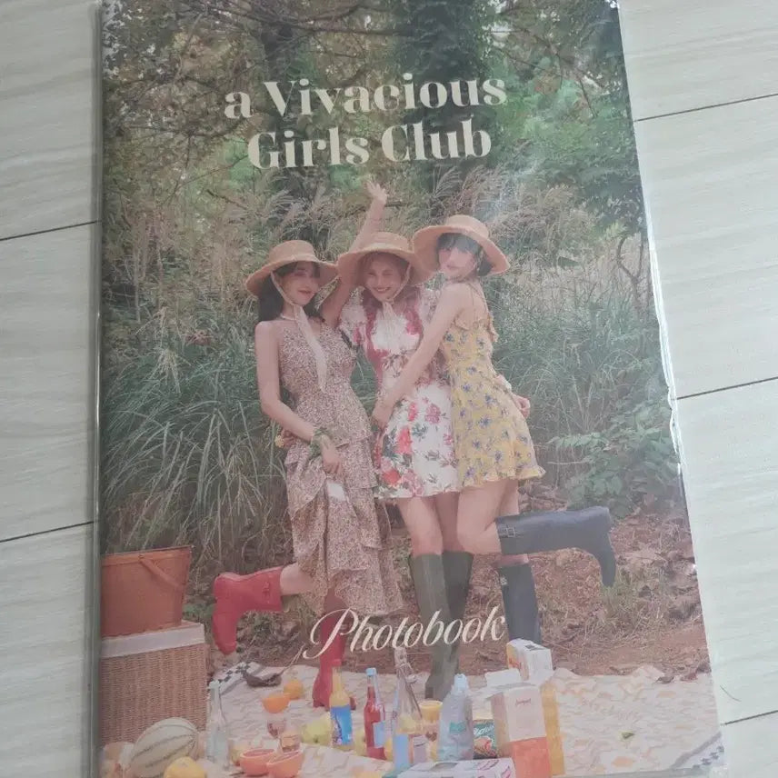 [BUNJANG] VIVIZ Photobook / 비비지 포토북