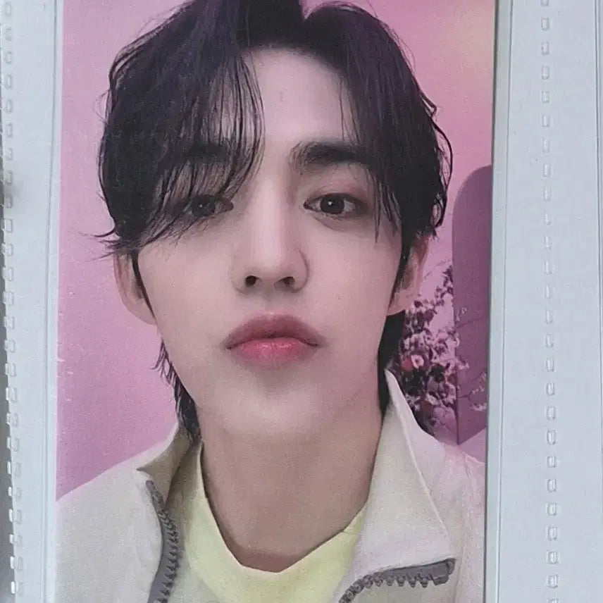 [BUNJANG] Seventeen S.Coups Always Yours POB Photocard / 세븐틴 에스쿱스 always yours 올웨이즈 유얼스 플프반 포카 양도