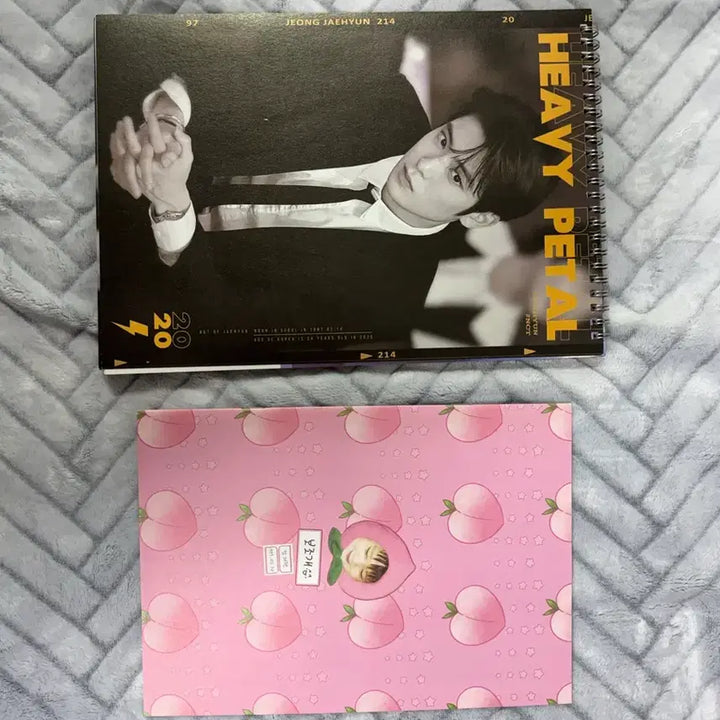 [SOLD OUT] NCT 127 엔시티 정재현 2020 바피 시즌그리팅 시그 포스터