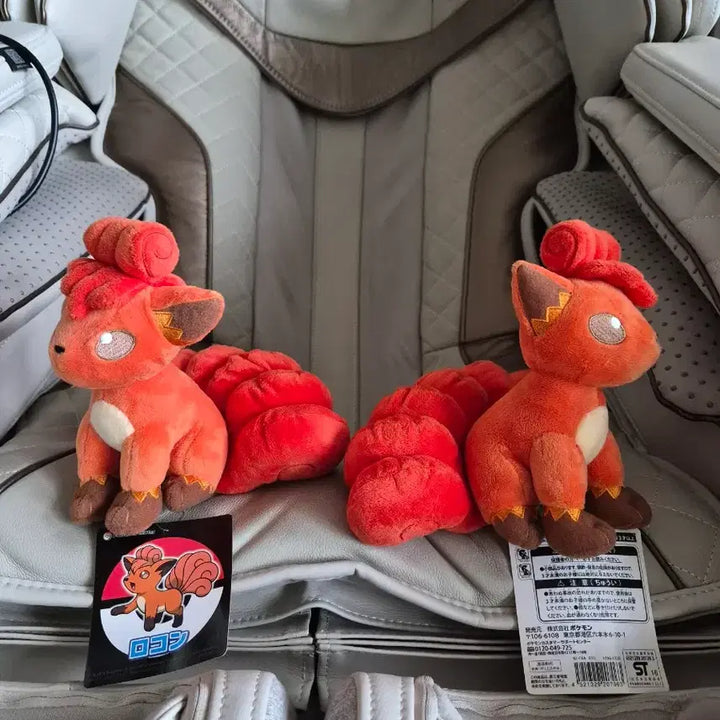 [BUNJANG] Pokemon Vulpix Plush Doll Set / 포켓몬 일본정품 식스테일 인형 세트