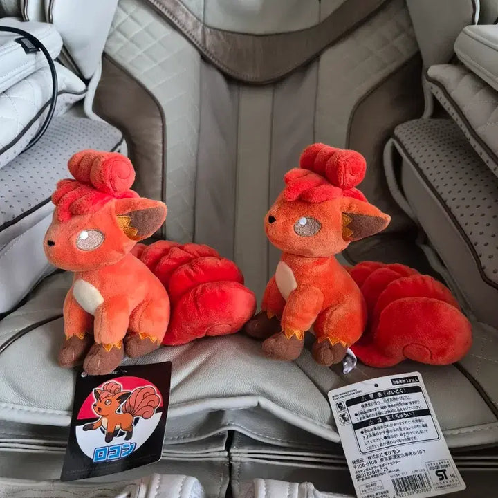 [BUNJANG] Pokemon Vulpix Plush Doll Set / 포켓몬 일본정품 식스테일 인형 세트