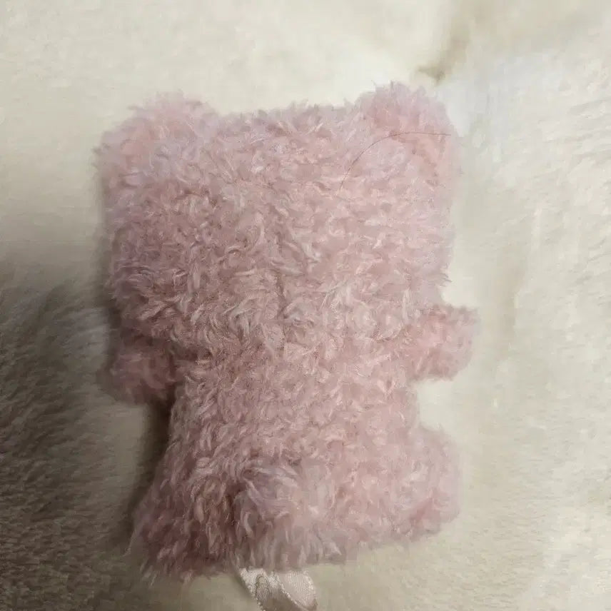[BUNJANG] Korilakkuma Tea Time Series Tenori Plush / 코리락쿠마  티타임 시리즈 테노리