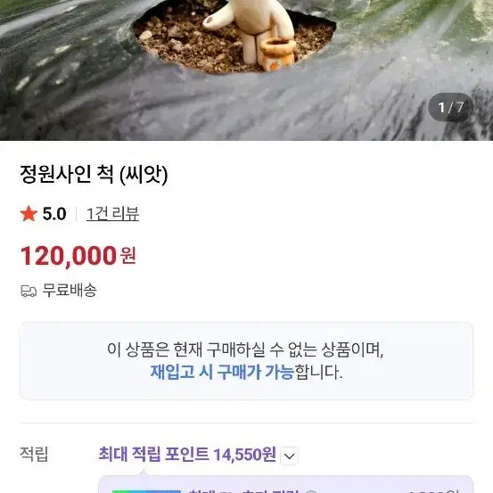 [BUNJANG] Toinz Garden Statue / 토인즈 정원사인 척