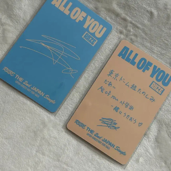 [SOLD OUT] 라이즈 쇼타로 일본 All of you 올옵유 개인반