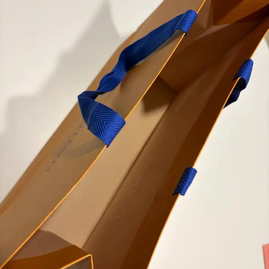 [BUNJANG] Louis Vuitton Shopping Bag / 루이비통 쇼핑백