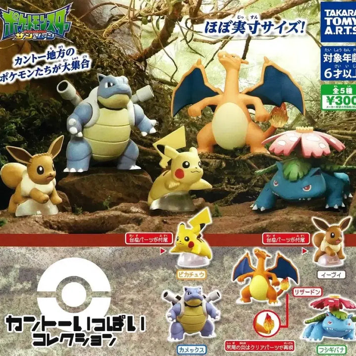 [BUNJANG] Pokemon Capsule Toy Kantō Collection / 포켓몬스터 캡슐토이 가챠 관동지방 컬렉션