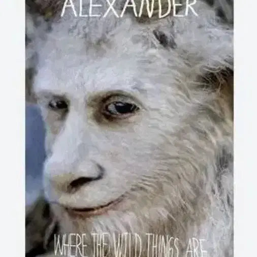 [BUNJANG] Kubrick Where the Wild Things Are Alexander Figure / 큐브릭 괴물들이 사는나라 Alexander