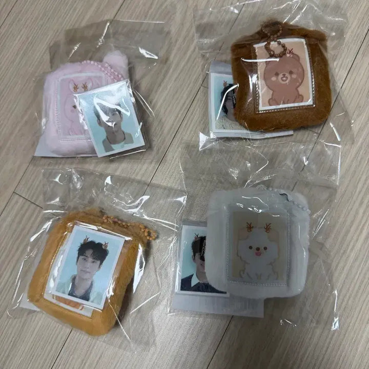 [BUNJANG] Day6 Petit Merch ID Photo Holder Bundle Set / 데이식스 쁘띠멀즈 아이디포토홀더 일괄
