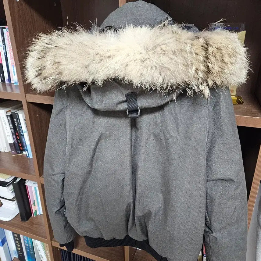 [SOLD OUT] 노비스패딩