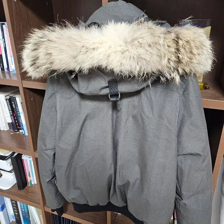 [SOLD OUT] 노비스패딩