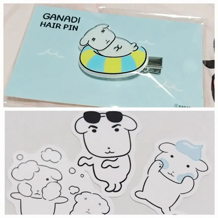 [BUNJANG] Ganadi Torriden Hairpin and Sticker Bundle Set / 가나디 토리든 헤어핀+스티커 일괄