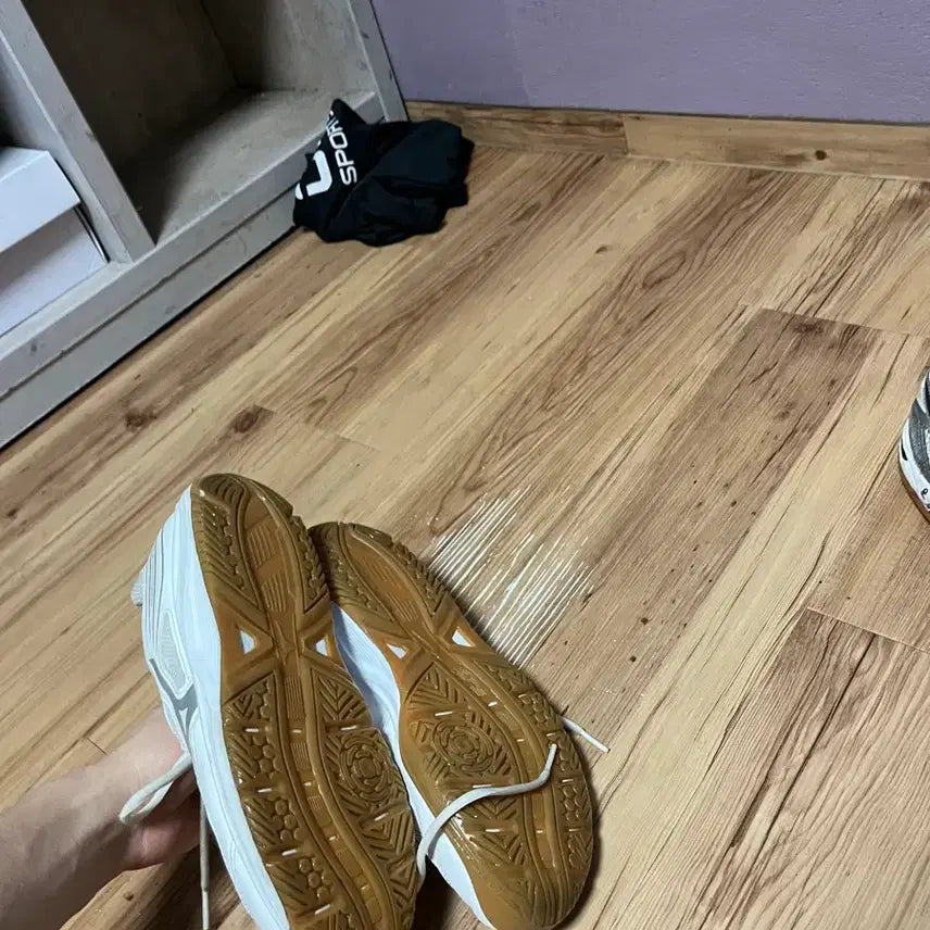 [SOLD OUT] 미즈노 배구화