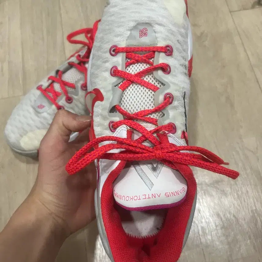 [BUNJANG] Nike Giannis Immortality 1 265 Shoes / 나이키 야니스 이모탈리티1 265